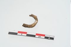 Foto von Bleiring (NHMW-PRAE-024551)